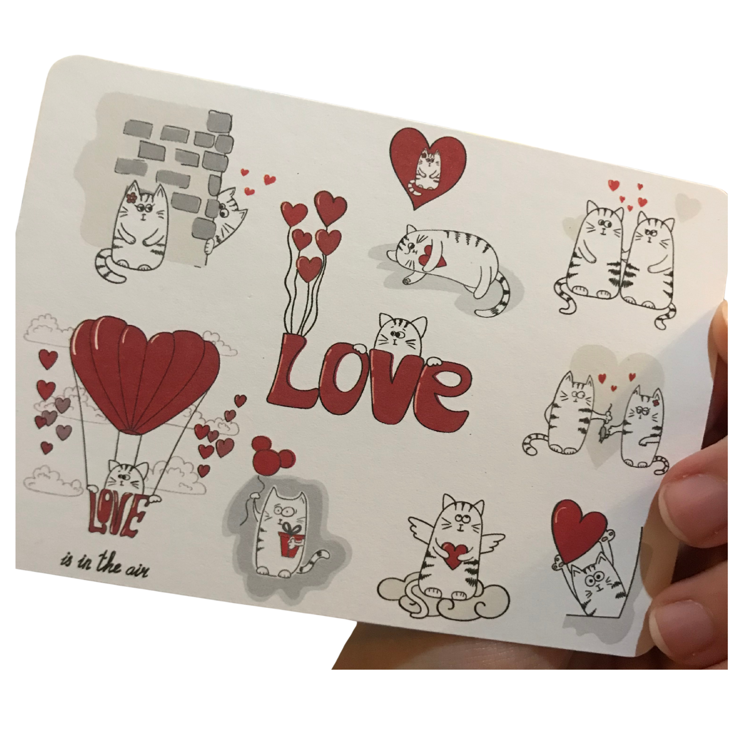 Cat Lover's Birthday Gift